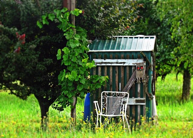 Jak wybrać skuteczne środki do ochrony roślin w ogrodzie?